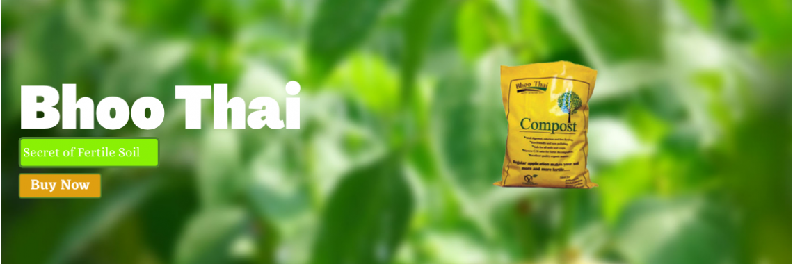 Bhoo Thai
